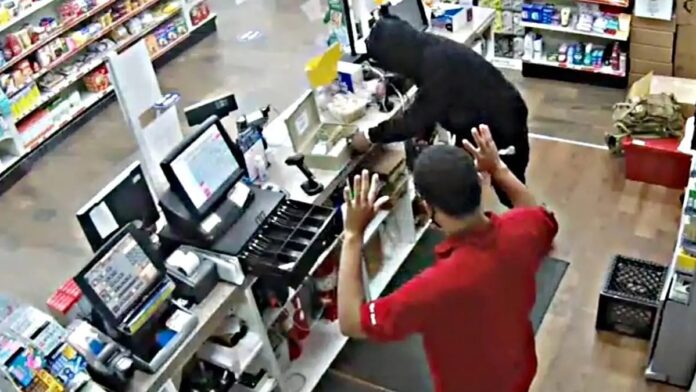 Imagen de WhatsApp 2025-10-28 a las 18.46.19_419df2e8