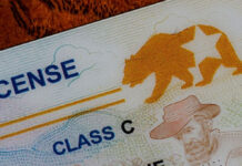 Cierre de gobierno en EU: Trump amaga con quitar fondos a California por emitir licencias a migrantes