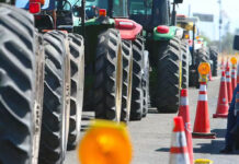 Precio maíz en riesgo: Líderes agrícolas no cumplen acuerdos con SADER, alerta experto