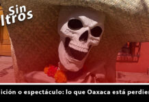 Columna: “Tradición o espectáculo: lo que Oaxaca está perdiendo”