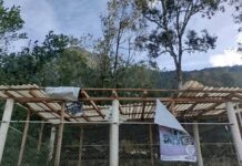 Suspenden clases y reportan daños en la Mixteca por intensos ventarrones