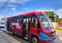 Arquitecto advierte que Binnibus se convertirá  “en un nido más de malvivientes” si autoridades no combaten corrupción y planean a largo plazo