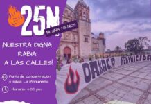 “Queda evidenciada la incapacidad e indiferencia ante los feminicidios, desapariciones y agresiones”: ONG’s convocan a marcha el 25 de noviembre