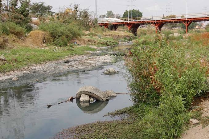 Imagen de WhatsApp 2025-11-25 a las 21.42.47_540521b7