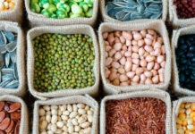 EU elimina aranceles a más de 200 productos de Perú, anuncia el gobierno de Lima