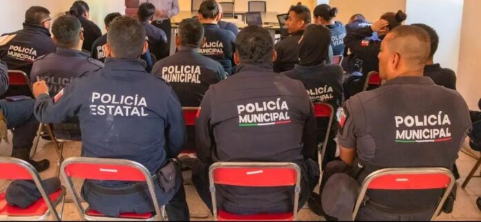 WhatsApp Image 2025-11-13 at 10.33.05 AM