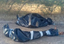 Continúa violencia en Juchitán de Zaragoza: ahora, ejecutan y embolsan a dos individuos