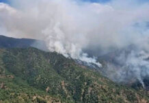 Incendio en Santa María Zaniza arrasa con más de 350 hectáreas, confirma Conafor; se reactiva tensión con Amoltepec