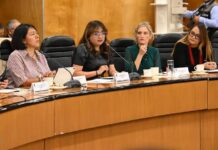 Nueva reforma electoral y futuro de Oples comenzará a ser discutida en febrero