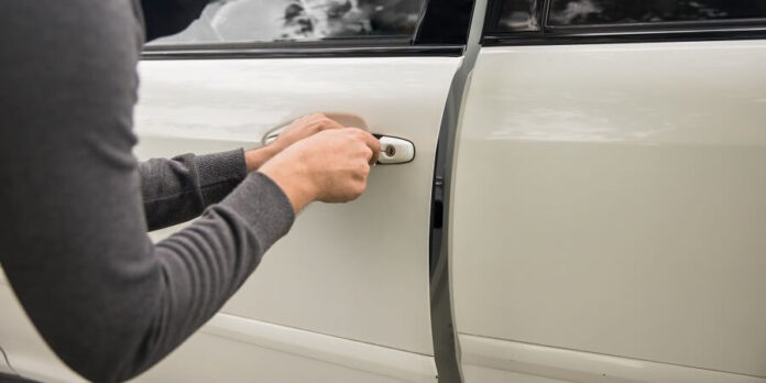 WhatsApp Image 2025-12-29 at 5.54.01 PM