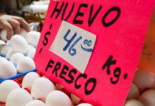 Precio de la canasta alimentaria en zonas urbanas aumenta 4.4% en noviembre; es superior a la inflación