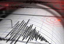 Descartan afectaciones en Oaxaca tras sismo en La Crucecita