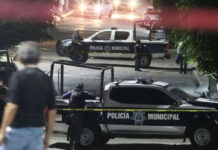 Violencia e inseguridad: 161 personas fueron asesinadas este fin de semana en México