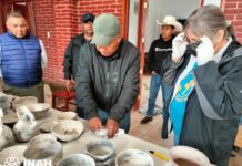 Confirma INAH autenticidad de vestigios arqueológicos hallados el pasado fin de semana en San Pedro Jaltepetongo, Oaxaca