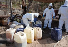 Desmantelan tres laboratorios clandestinos en México; aseguran 700 kilos de drogas y 12 mil litros de precursores