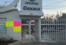 Docentes del Conalep y DGETI en Oaxaca inician paro de 48 horas