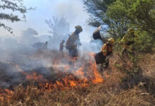 Se convierte incendio forestal de Santiago Niltepec en el más intenso del país de últimas horas; mil hectáreas afectadas