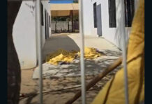 Mueren dos menores haitianas al caer en fosa séptica de albergue del DIF Oaxaca en San Raymundo Jalpan