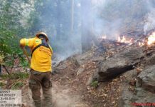 Con 36 incendios y más de 2 mil 577 hectáreas devastadas por el fuego: Oaxaca, la entidad con más superficie afectada por incendios forestales en todo el país