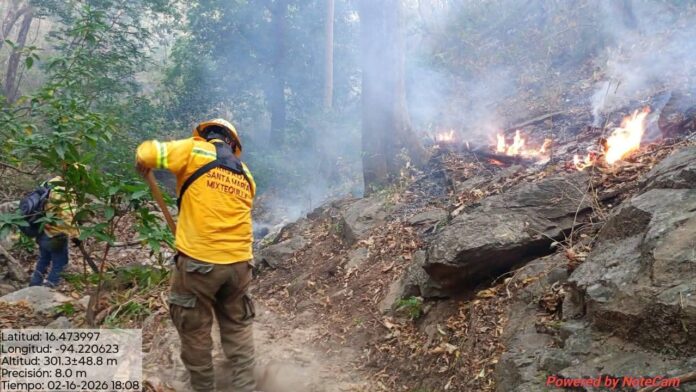 WhatsApp Image 2026-02-18 at 2.31.08 PM