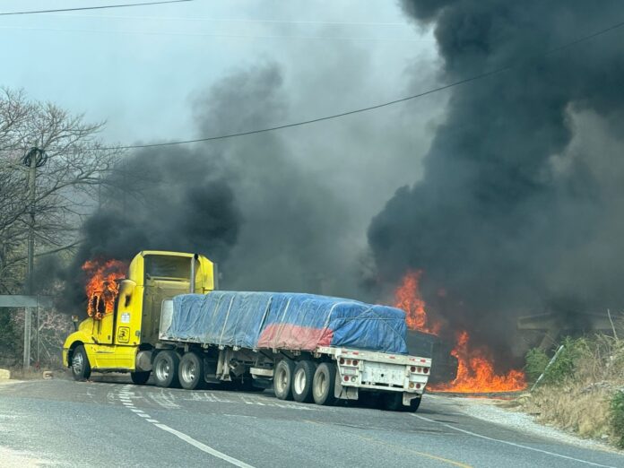 WhatsApp Image 2026-02-22 at 11.58.53 AM