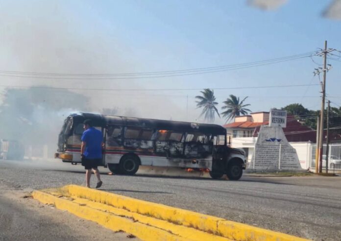 WhatsApp Image 2026-02-24 at 5.06.20 PM