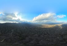 Tres incendios forestales activos devastan en menos de cinco días 2 mil 135 hectáreas de superficie en Oaxaca