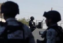Violencia en México crece pese a baja en homicidios, alerta ONG