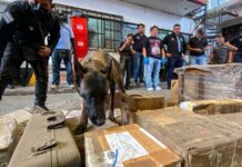 Detectan drogas, armas y cartuchos en paqueterías de Oaxaca tras revisión en cinco regiones