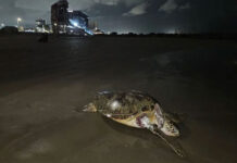 Organizaciones acusan al gobierno de ocultar el derrame en el Golfo de México y apuntan a Pemex