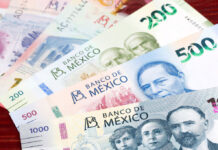 Reparto de utilidades 2026: ¿Cuándo se pagan y cómo calcular?