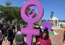 Reportan 305 feminicidios y 1,257 desapariciones de mujeres en Oaxaca