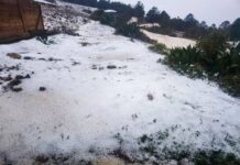 Granizada cubre de blanco comunidades de la Mixteca oaxaqueña