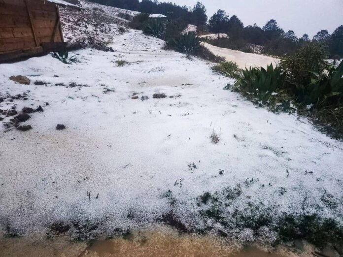 669308319_1875652626714953_5827966856440169745_n