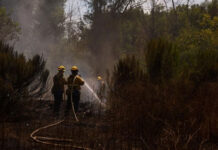 Latinos representan el 80% de los trabajadores en la recuperación de Los Ángeles tras incendios