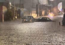 Contabilizan al menos cinco árboles caídos y cuatro vehículos varados tras tormenta y granizada de ayer en la capital