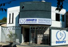 DDHPO abrió en últimos 12 meses mil 355 procesos contra dependencias y municipios de Oaxaca; Fiscalía y SSP, las más denunciadas