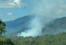 Incendio forestal cumple 12 días en Juxtlahuaca; reportan afectación en 380 hectáreas y 98 por ciento de liquidación