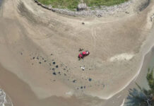 Derrame en el Golfo de México cumple un mes: casi mil kilómetros devastados, 96 sitios afectados y 54 zonas sin recibir atención