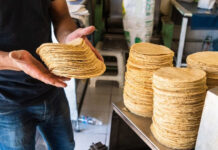 “Puede haber ajuste en el precio, pero no significativo”: Consejo Rector de la Tortilla Tradicional, tras encuentro con Sheinbaum