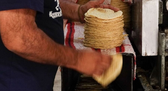 TORTILLA