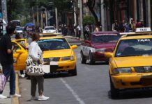 Plantean suspender licencia de por vida y cancelar concesión cuando conductores de transporte acosen a personas usuarias