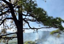 Tras 7 días, sofocan incendio en reserva de San Miguel Chimalapa, pero reportan otro incendio; ahora, en Santa María