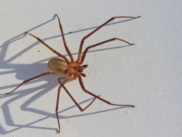 WhatsApp Image 2026-04-07 at 2.34.34 PM