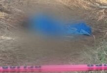 Hallan cadáver en San Pedro Ixtlahuaca; contabilizan en 11 días de abril 23 asesinatos en Oaxaca