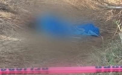 WhatsApp Image 2026-04-11 at 5.04.04 PM