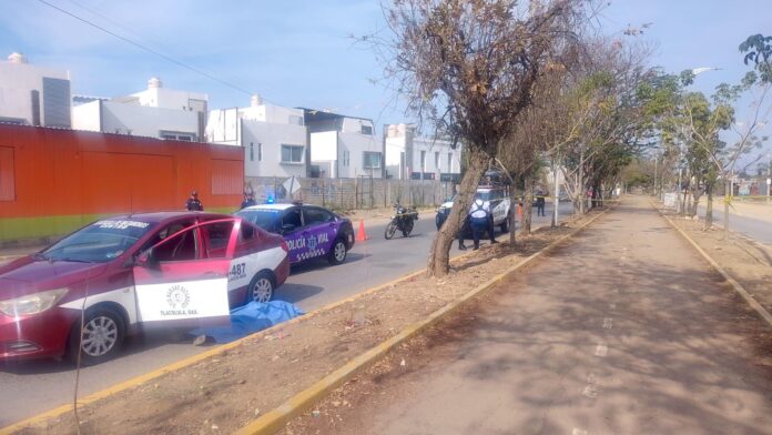 WhatsApp Image 2026-04-12 at 10.14.53 AM