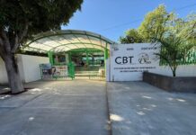 Confirman intoxicación de cinco alumnos del CBTA de San Lorenzo Cacaotepec, Etla