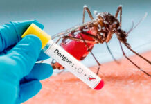 Muere en Oaxaca niño de 6 años víctima de dengue; se trata de primer caso fatal de 2026