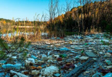 México registra más de mil sitios contaminados por hidrocarburos, metales y residuos peligrosos
